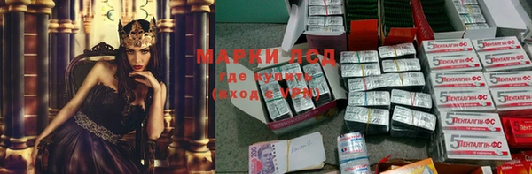 стафф Арсеньев
