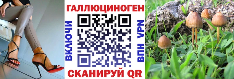 закладка  Озёры  Псилоцибиновые грибы ЛСД 